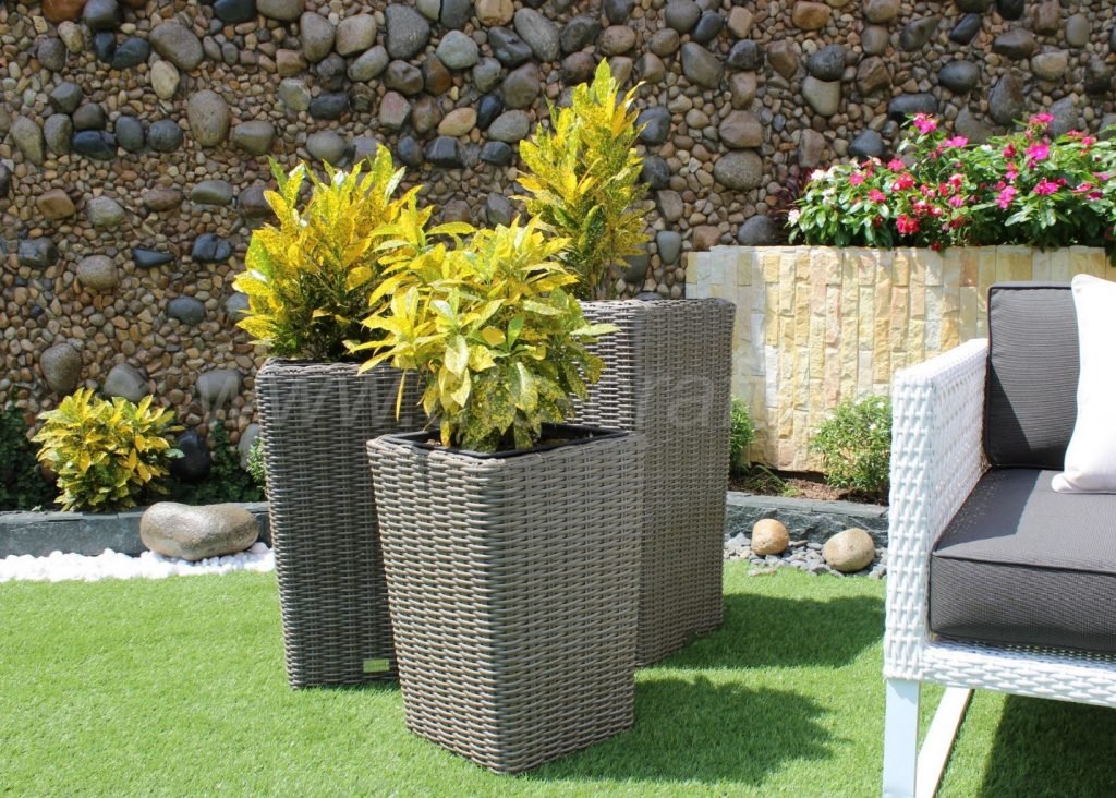 Greening-the-area-with-plants Greening the area with plants