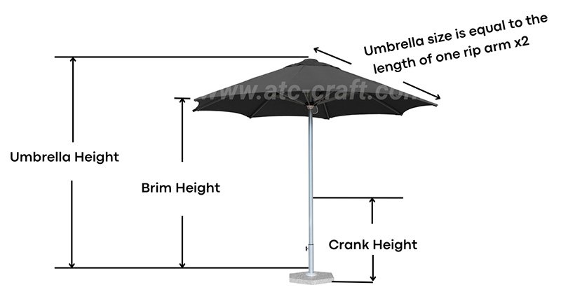 How To Measure The Height