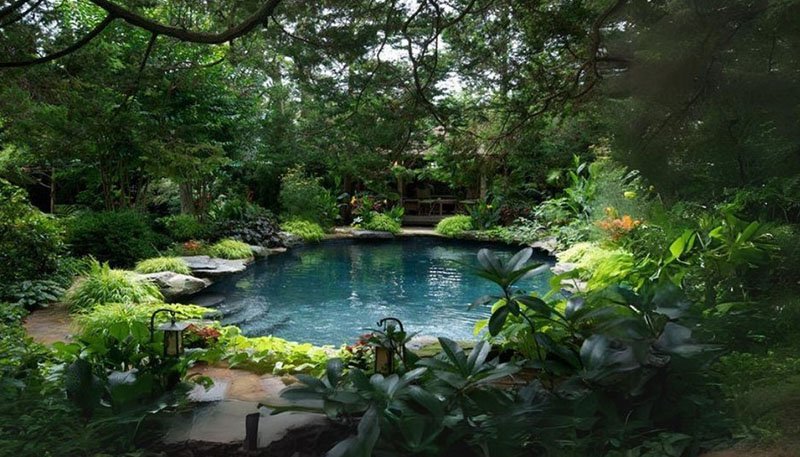 Greenery surrounding pool side